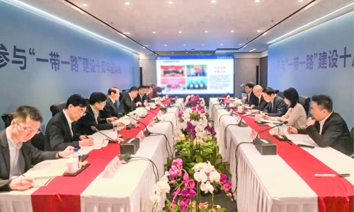 浙商参加“一带一路”建设10周年座谈会召开，，，，，，，，陈蕾董事长受邀参会并作主题讲话