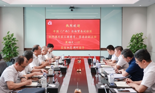 中国（广西）自由业务试验区平凉港片区治理委员会副主任、党工委委员莫福文莅临3377体育全网调研