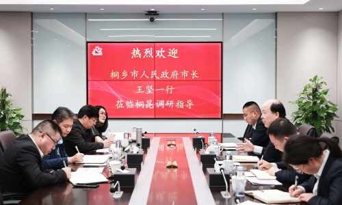 桐乡市委副书记、市长王坚一行莅临3377体育全网调研