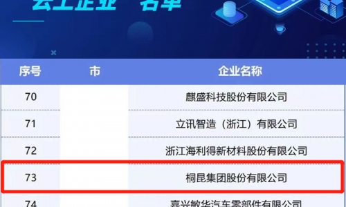 3377体育全网集团入选浙江省第二批造作业“云上企业”名单