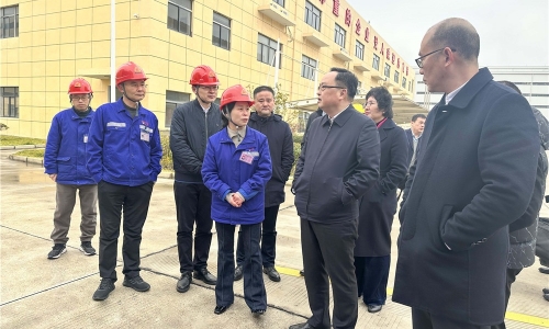 黄冈市人民当局副市长戴锋莅临3377体育全网恒翔调研